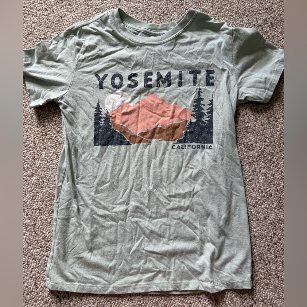 Zoe + Liv Yosemite Graphic Tee in Sage